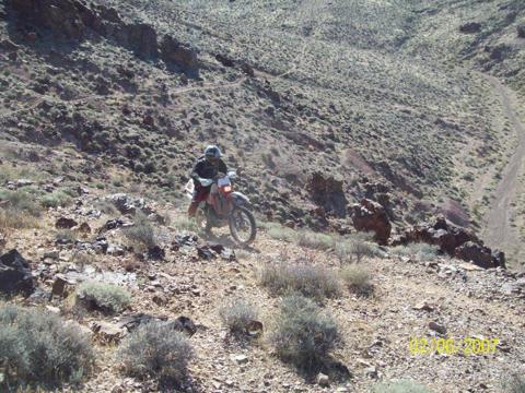 DVR 21 02 Resting Spg Tr.jpg